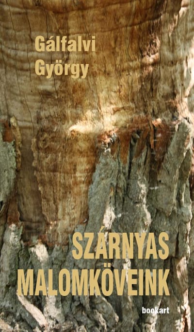 A könyv borítója: Gálfalvi György SZÁRNYAS MALOMKÖVEINK