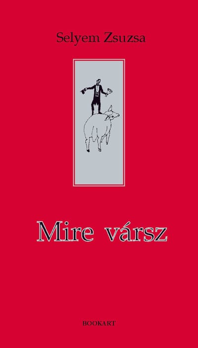 A könyv borítója: Selyem Zsuzsa: Mire vársz