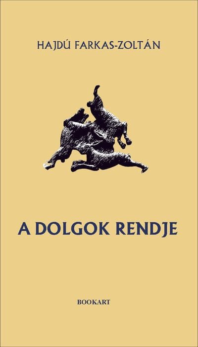 A könyv borítója: Hajdú Farkas-Zoltán: A dolgok rendje