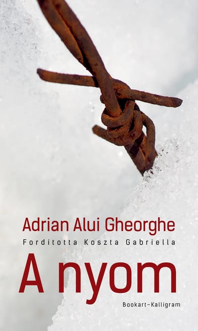 A könyv borítója: Adrian Alui Gheorghe A NYOM