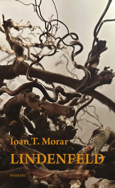 A könyv borítója: Ioan T. Morar LINDENFELD